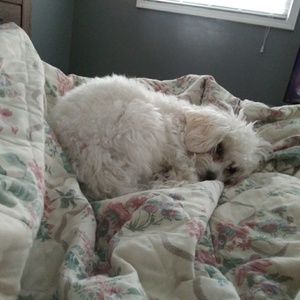 Meet your Posher, Gail